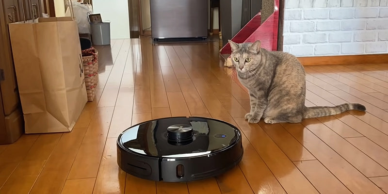 【見守あらた】ロボット掃除機と猫4匹戦わせてみた