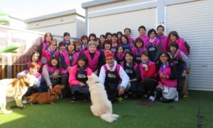 Neakasa、NPO法人TWFの会と動物保護支援活動を実施