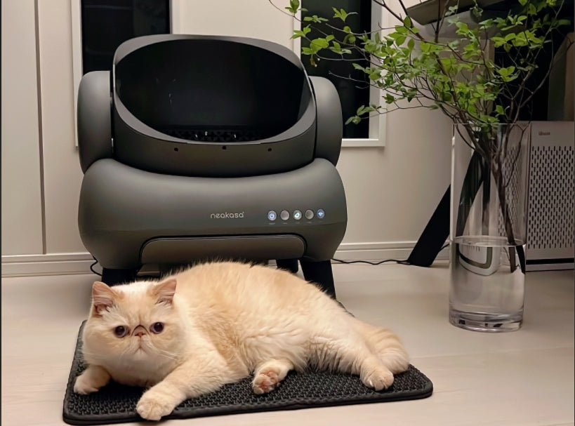 猫ちゃんはより早くトイレに慣れる!?　理想のトイレとは