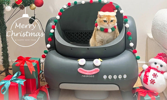 neakasaクリスマス