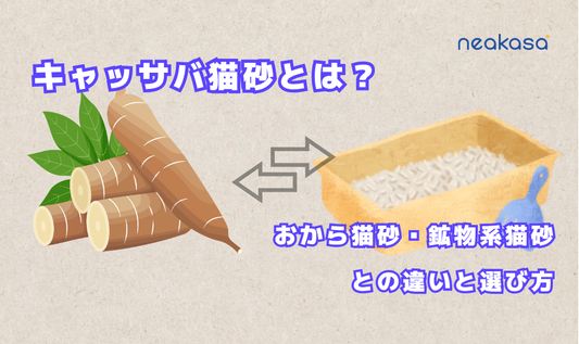 キャッサバ猫砂とは？ おから猫砂・鉱物系猫砂との違いと選び方