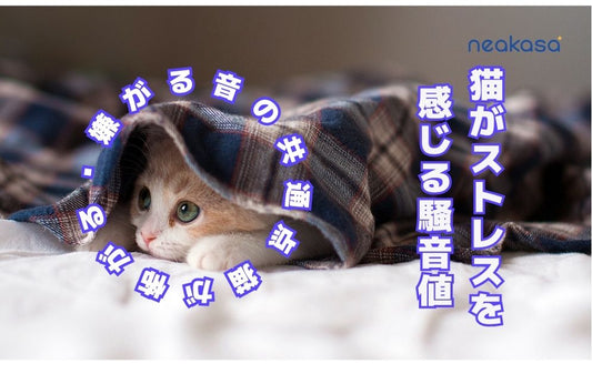 猫が嫌いな音・ストレスになる騒音の目安と猫にやさしい音環境の作り方