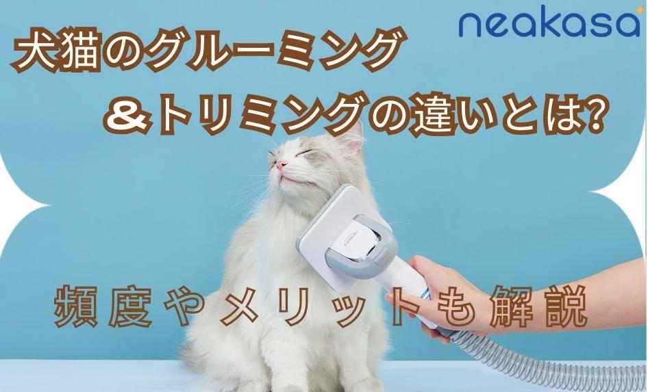犬猫のグルーミングとトリミングの違いとは？頻度やメリットも解説