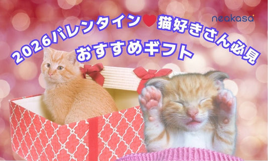 猫好きさん必見｜2026バレンタインのおすすめギフトガイド