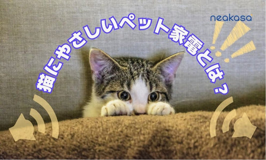 猫にやさしいペット家電とは？騒音レベルから考える静音設計の選び方