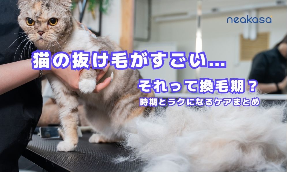 猫の抜け毛がすごい…それって換毛期？時期とラクになるケアまとめ