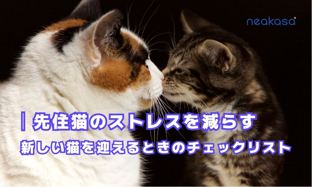 新しい猫を迎えるときの段階別チェックリスト｜先住猫のストレスを減らすステップ