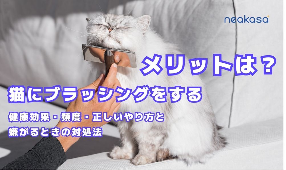 猫にブラッシングをするメリットは？｜健康効果・頻度・正しいやり方と嫌がるときの対処法