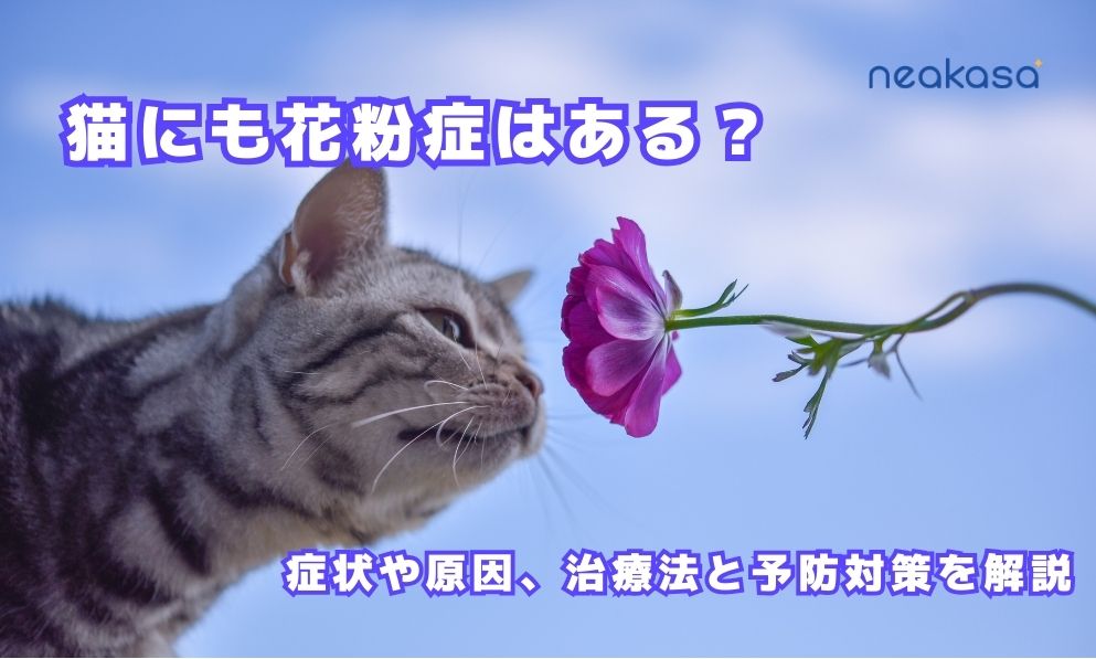 猫にも花粉症はある？くしゃみ連発・鼻水などの症状や原因、治療法と予防対策を解説