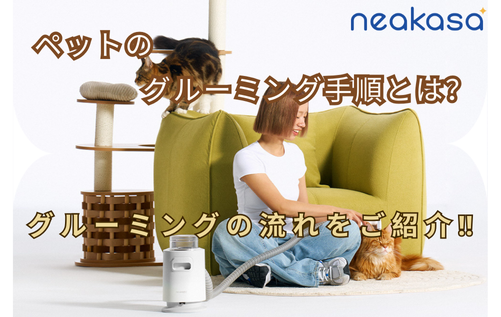 ペットのグルーミング手順とは？完全ガイドでグルーミングの流れをご紹介‼