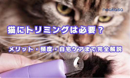 猫にトリミングは必要？メリット・頻度・自宅ケアまで完全解説