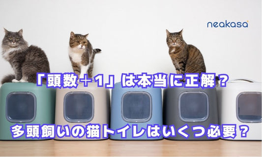 多頭飼いの猫トイレはいくつ必要？「頭数＋1」は本当に正解？サイズ・種類・おそうじ頻度で変わる正しい数