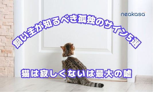 猫は寂しくないは最大の嘘。飼い主が知るべき孤独のサイン5選
