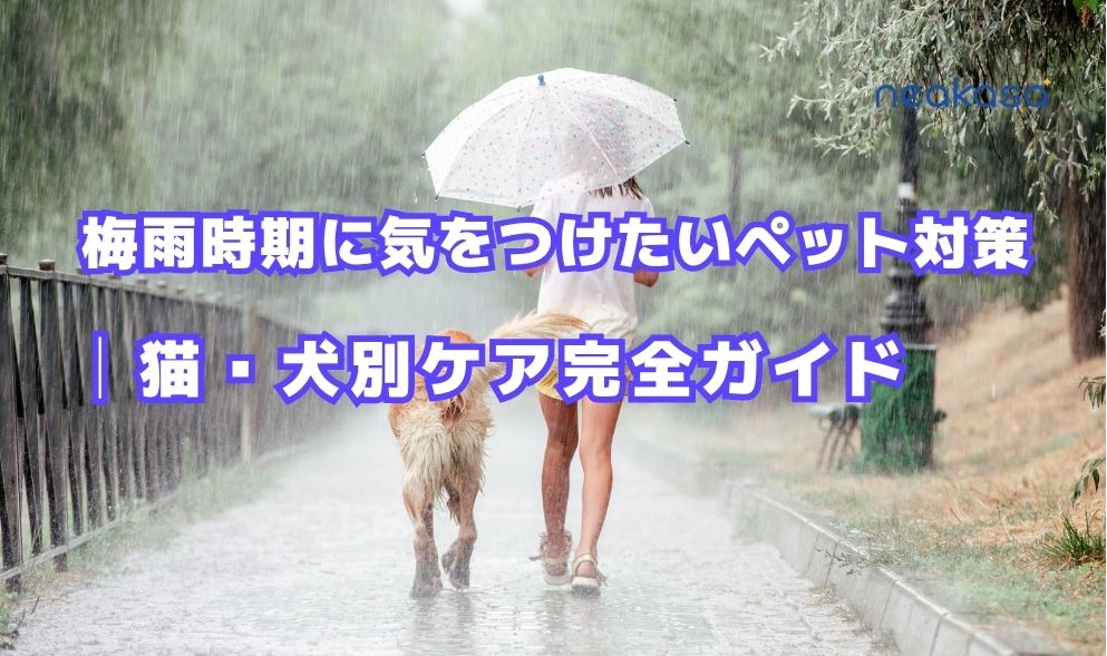 梅雨時期に気をつけたいペット対策｜猫・犬別ケア完全ガイド