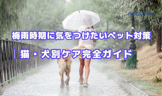 梅雨時期に気をつけたいペット対策｜猫・犬別ケア完全ガイド