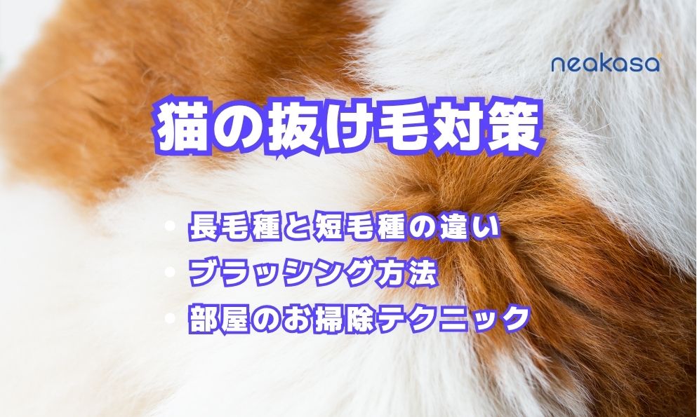 猫の抜け毛対策｜長毛種と短毛種の違い・ブラッシング方法・部屋のお掃除テクニック
