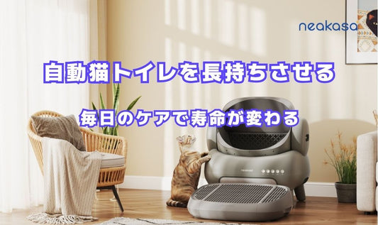 自動猫トイレを長持ちさせるメンテナンス術｜毎日のケアで寿命が変わる