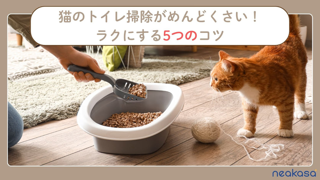 猫のトイレ掃除がめんどくさいと感じる人へ｜掃除・丸洗いの頻度とラクに続けるコツ