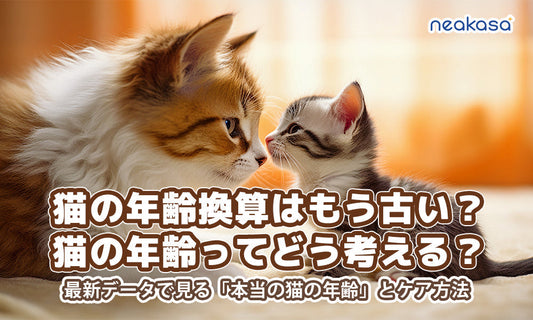 猫の年齢換算はもう古い？猫の年齢ってどう考える？最新データで見る「本当の猫の年齢」とケア方法