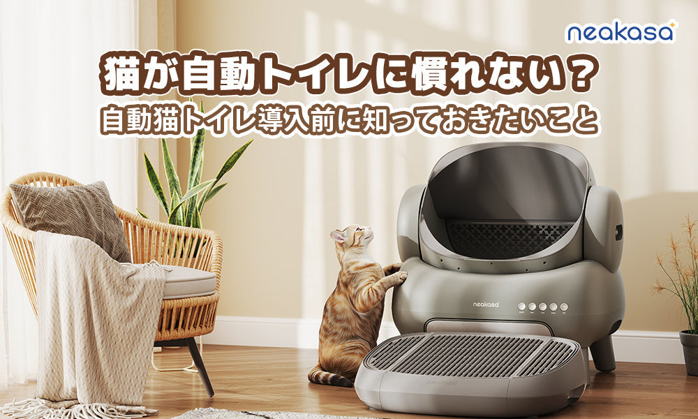 猫が自動トイレに慣れない？失敗しない実用ガイド｜自動猫トイレ導入前に知っておきたいこと