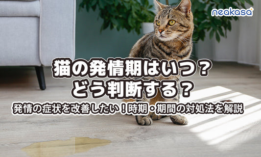 猫の発情期はいつ？どう判断する？発情の症状を改善したい！時期・期間の対処法を解説