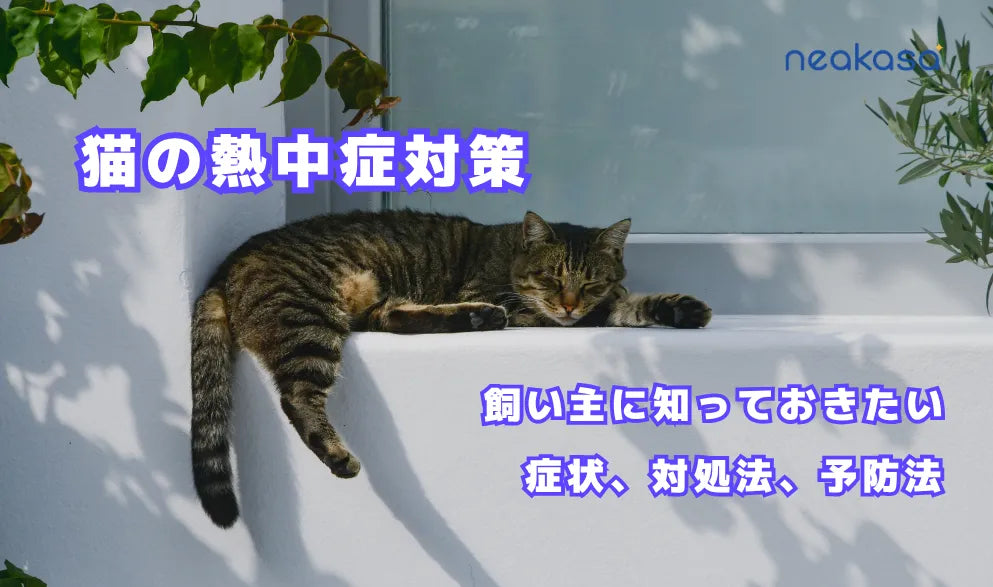飼い主に知っておきたい｜猫の熱中症対策 症状、対処法、予防法