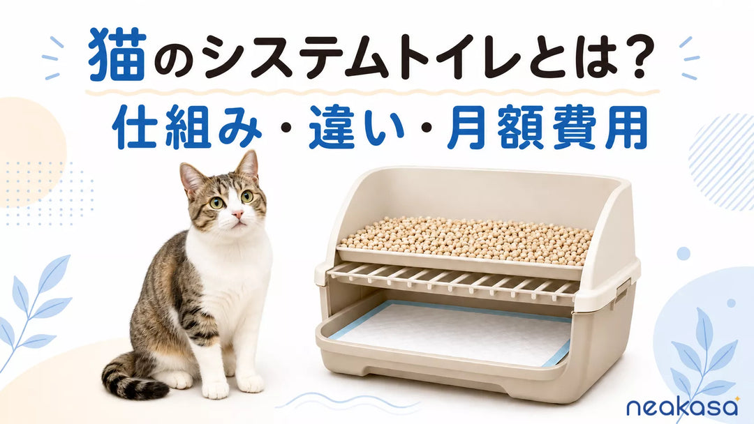 普通の猫トイレと何が違う？システムトイレのメリット・費用・選び方