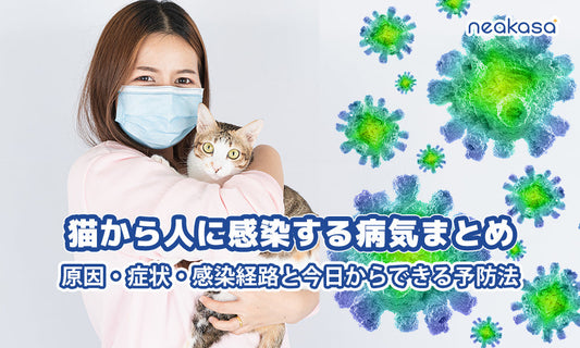 猫から人に感染する病気まとめ｜原因・症状・感染経路と今日からできる予防法