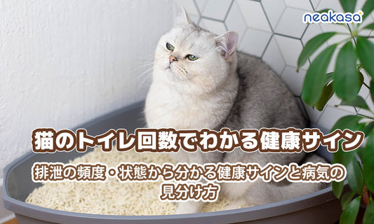 猫のトイレ回数でわかる健康サイン｜排泄の頻度・状態から分かる健康サインと病気の見分け方