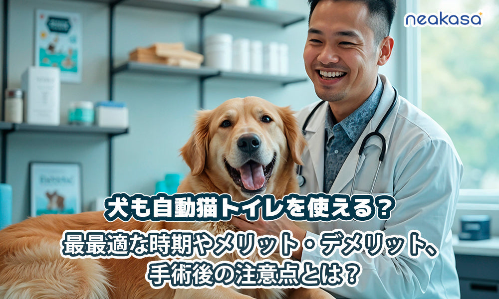 犬の去勢・避妊手術をしないとどうなる？最適な時期やメリット・デメリット、手術後の注意点とは？