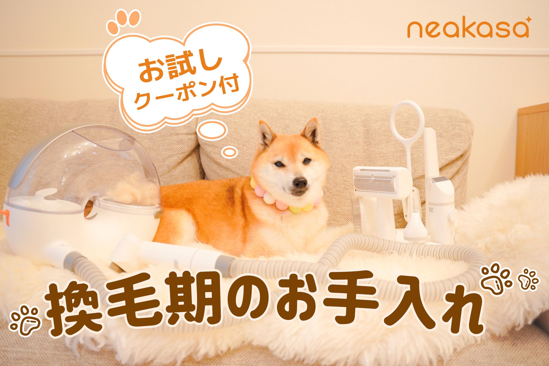 換毛期に乗り切る！抜け毛の対策方法は？