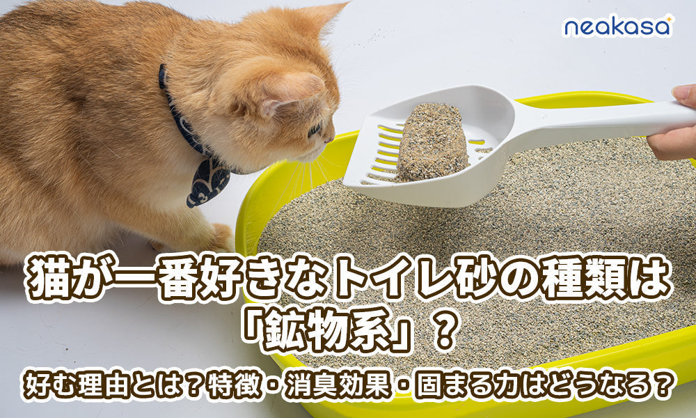 猫が一番好きなトイレ砂の種類は「鉱物系」？好む理由とは？特徴・消臭効果・固まる力はどうなる？より快適な空間を作りましょう！