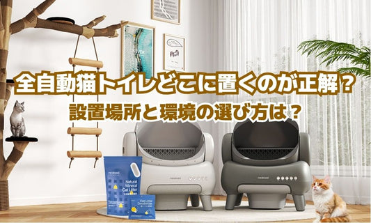 Neakasaの全自動猫トイレ、どこに置くのが正解？設置場所と環境の選び方は？
