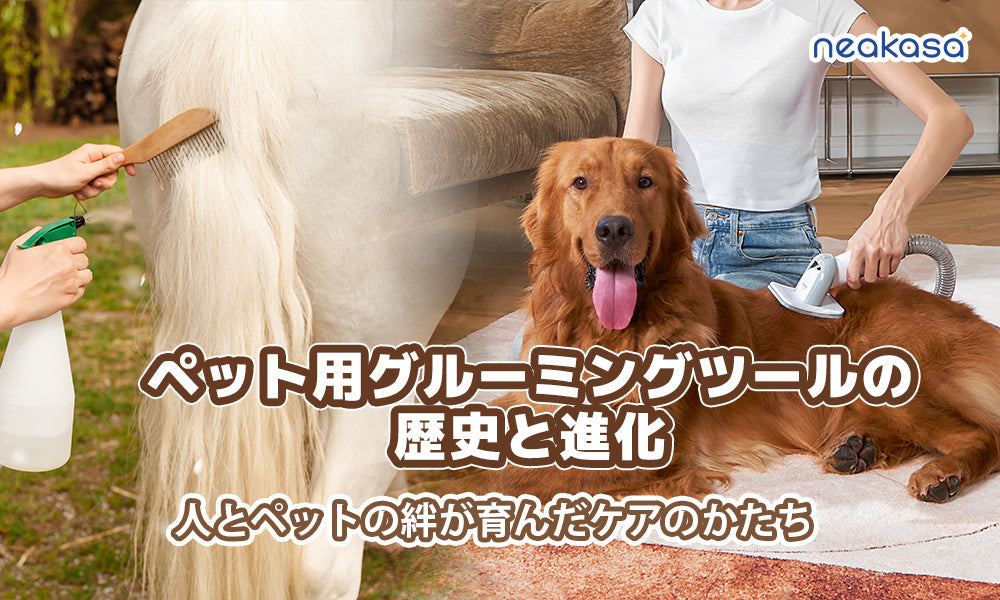 ペット用グルーミングツールの歴史と進化｜人とペットの絆が育んだケアのかたち