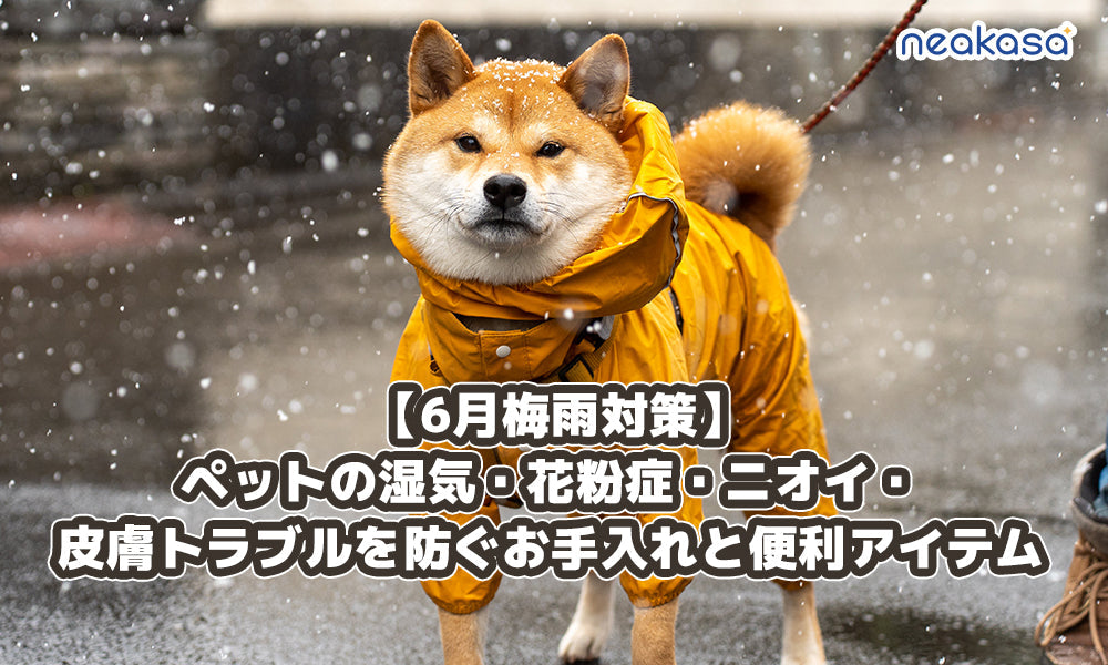 【6月梅雨対策】ペットの湿気・花粉症・ニオイ・皮膚トラブルを防ぐお手入れと便利アイテム