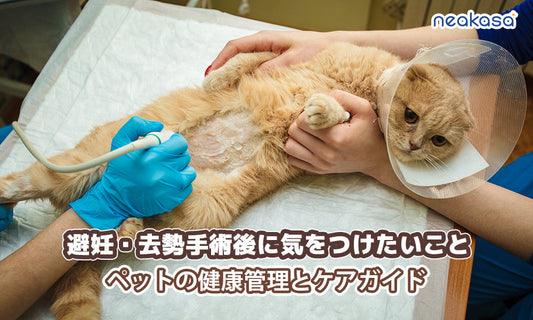 避妊・去勢手術後に気をつけたい、ペットの健康管理とケアガイド・食事・生活・トリミング
