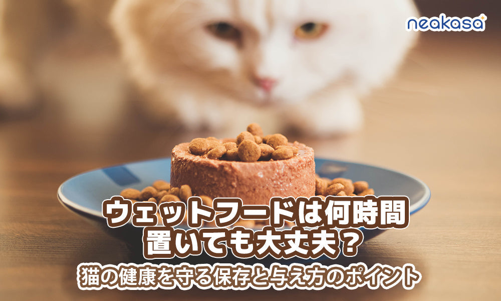 ウェットフードは何時間置いても大丈夫？｜猫の健康を守る保存と与え方のポイント
