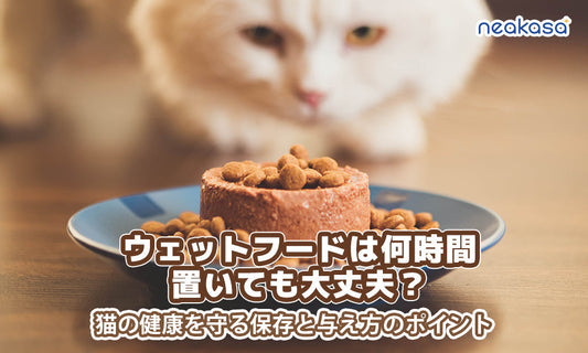 ウェットフードは何時間置いても大丈夫？｜猫の健康を守る保存と与え方のポイント