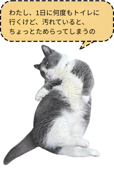 全自動猫トイレ専用付属品-Collection専用