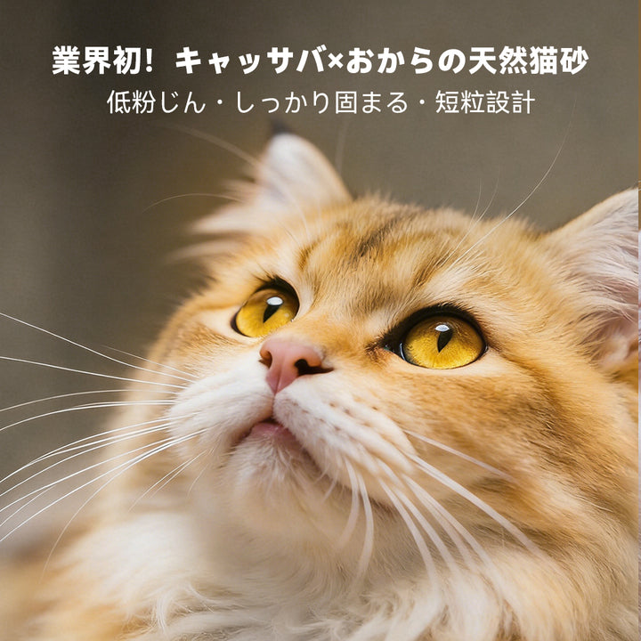Neakasa キャッサバ＆おから天然猫砂 5.4kg 2袋入り（2.7kg /袋 約4.2L）