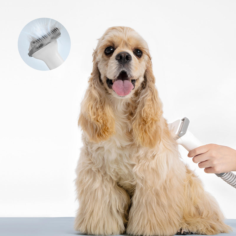 Neakasaペットグルーミングブラシで犬をケアする様子