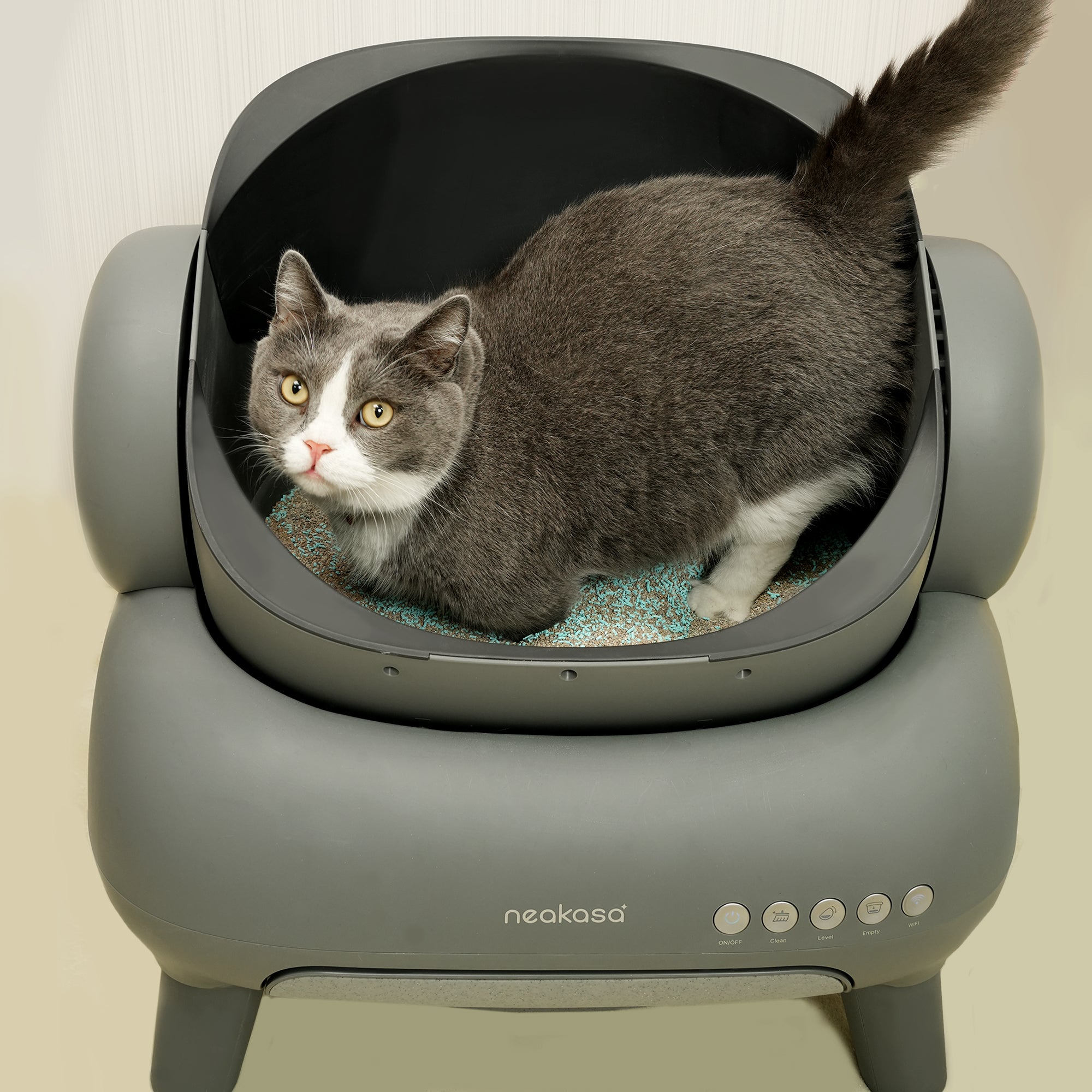 猫砂用消臭グラニュール（12袋入）｜強力消臭＆抗菌タイプ