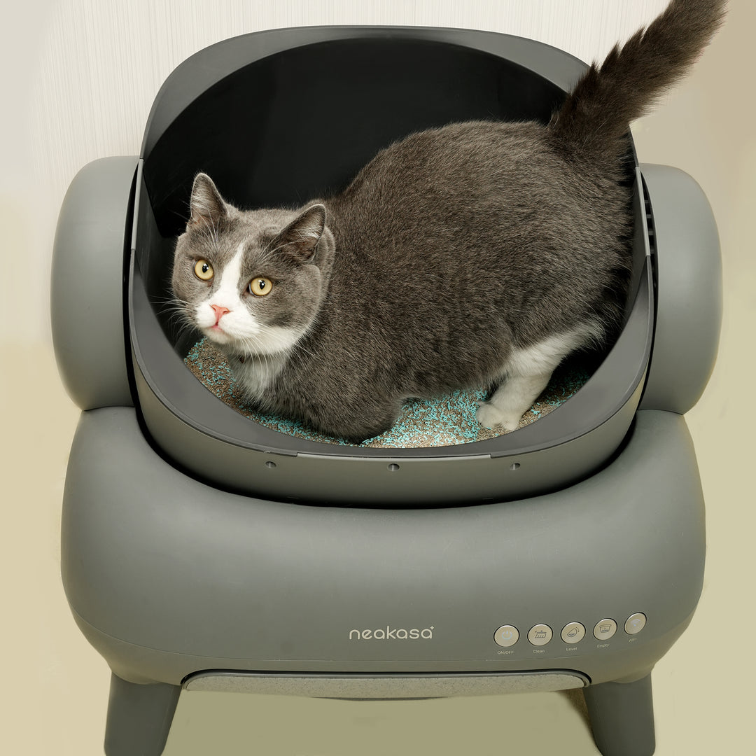 猫砂用消臭グラニュール（12袋入）｜強力消臭＆抗菌タイプ