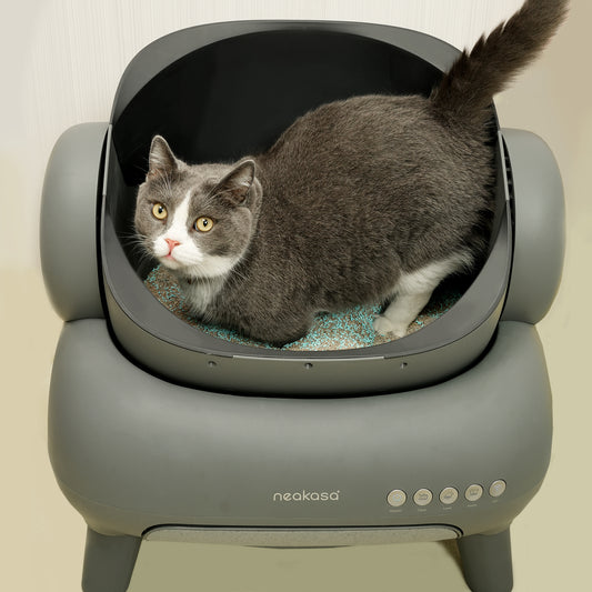猫砂用消臭グラニュール（12袋入）｜強力消臭＆抗菌タイプ
