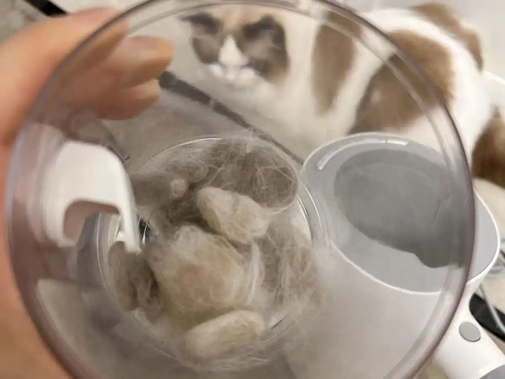 猫抜け毛対策