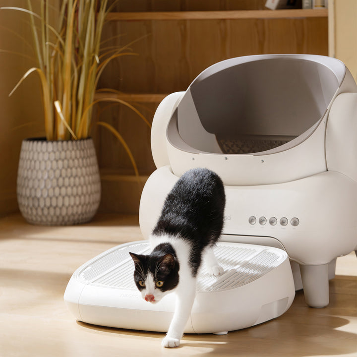 Neakasa M1 M1 lite 猫砂 ステップ 猫砂漏れ防止 グレー ホワイト