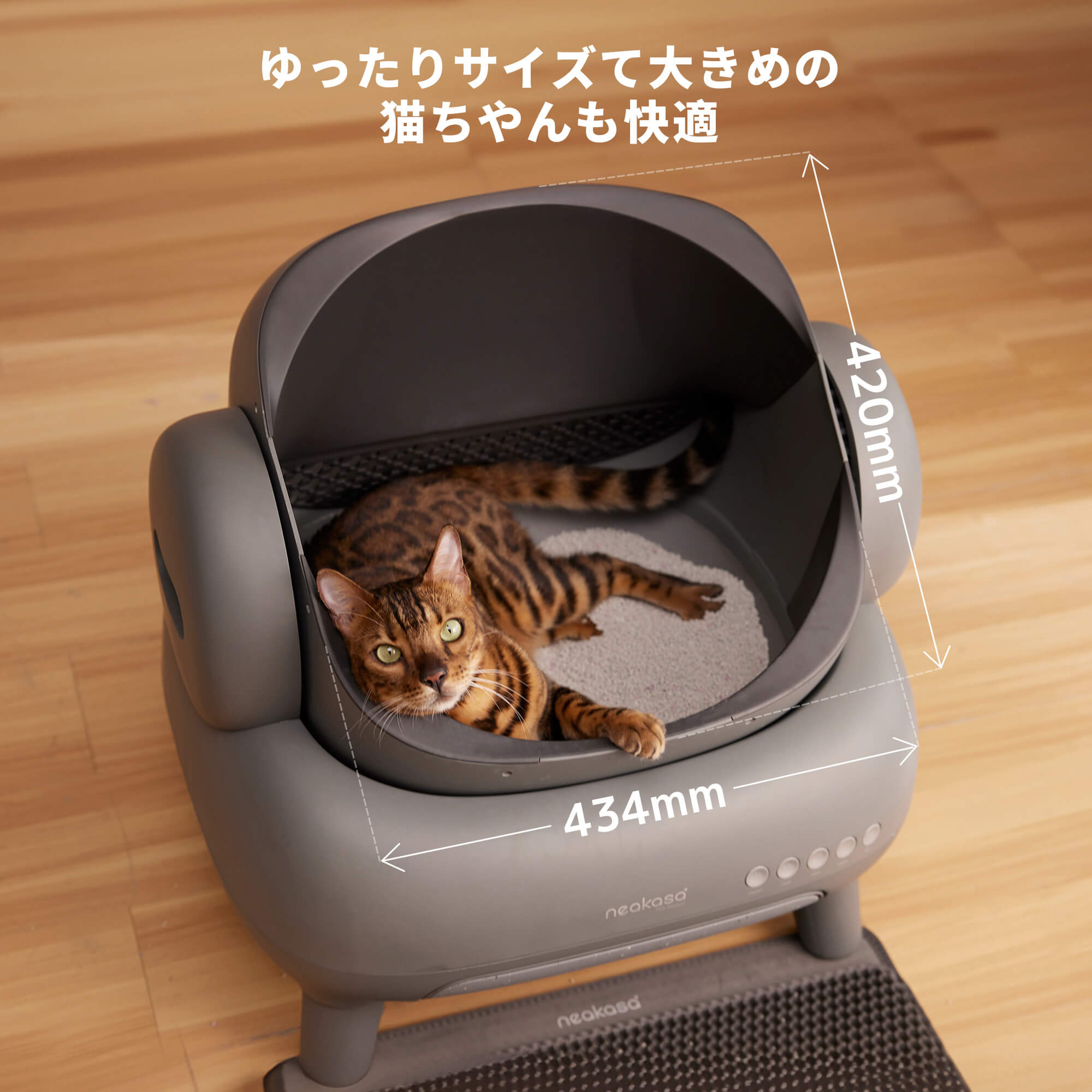 Neakasa M1 Plus / Lite オープン型全自動猫トイレ本体｜多頭飼い