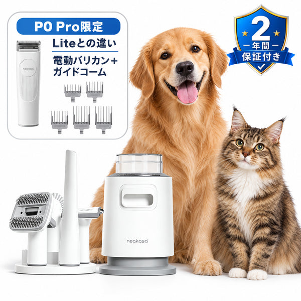 本体セット