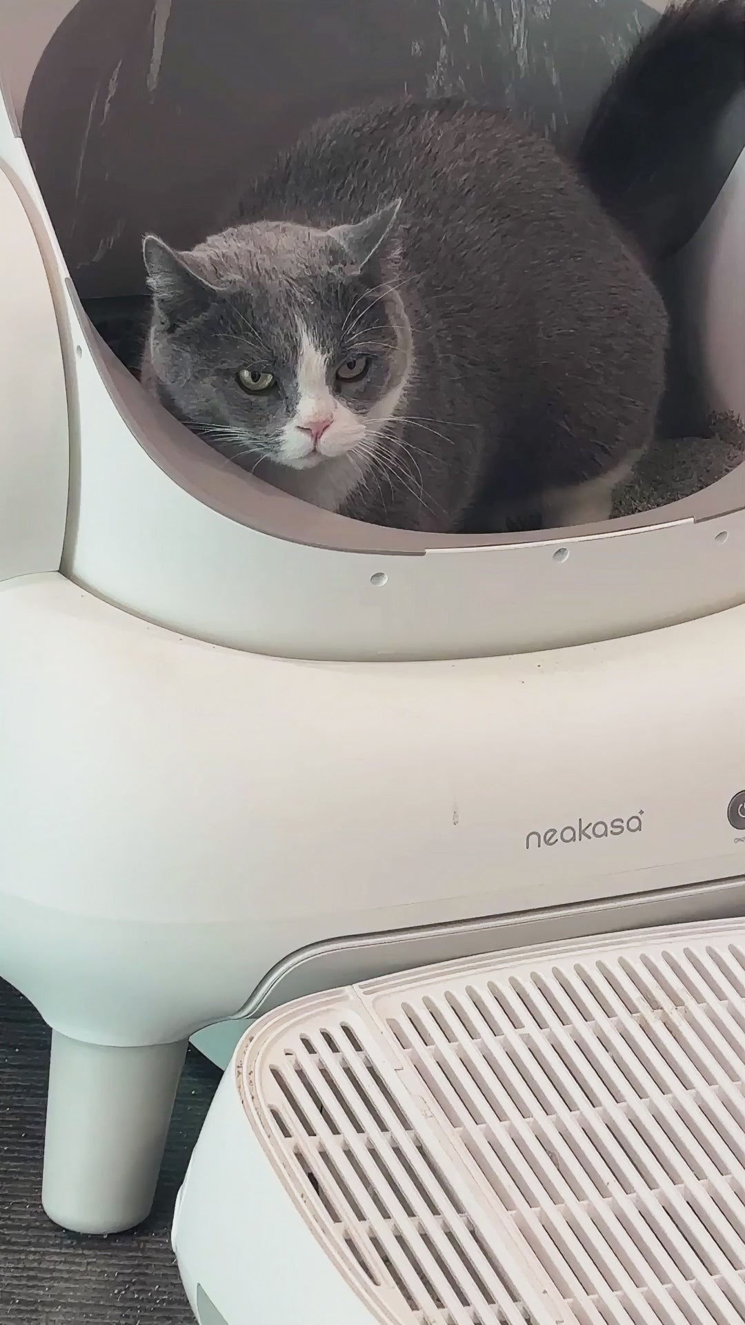 Neakasa オープン型自動猫トイレ｜大型猫・多頭飼いにもおすすめ