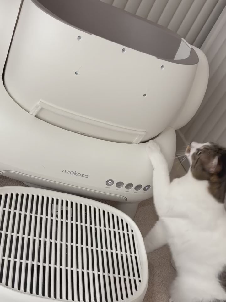 Neakasaオープン型全自動猫トイレ｜大型猫や多頭飼いにも最適な